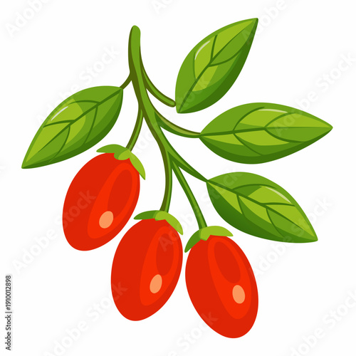 colorful illustration of a Organic Goji Berries Superfood Close Up