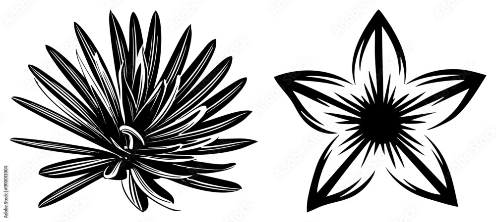 Fototapeta premium Two abstract flower designs rendered in high contrast black and white, featuring sharp and dynamic petal arrangements, ideal for graphic design or tattoo art.