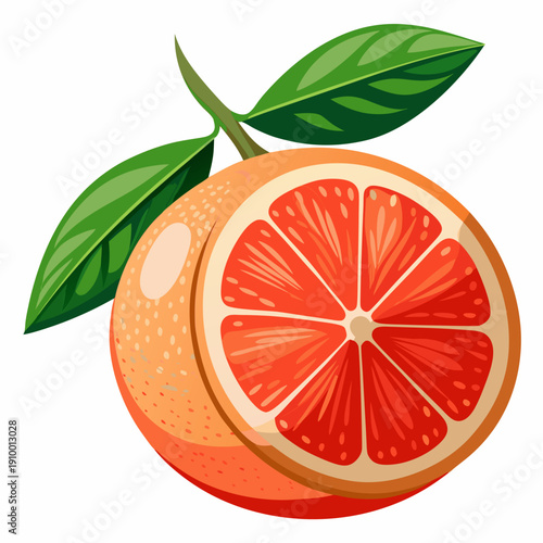 colorful illustration of a Fresh Grapefruit Isolated on White Background