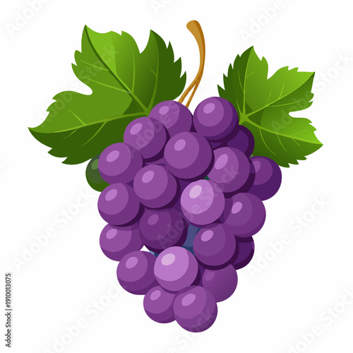 colorful illustration of a Juicy Grapes Macro Detail Close Up