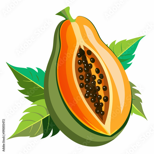 colorful illustration of a Fresh Papaya Isolated on White Background