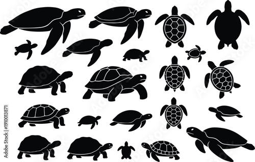 Sea turtle and tortoise silhouettes collection showing multiple poses and sizes, marine and land reptile icons set, black vector animals isolated on white background
