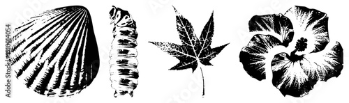 , caterpillar, maple leaf, hibiscus flower nature motifs rendered in high contrast vector art, ideal for graphic design, print, or digital.