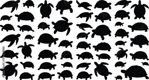 Turtle and tortoise silhouettes mega collection showing many poses and sizes, sea and land reptile icons set, black vector animals isolated on white background