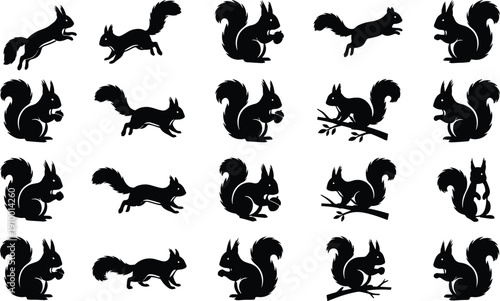 Squirrel silhouettes set featuring running, jumping and sitting poses, forest rodent wildlife icons collection, black vector animals isolated on white background