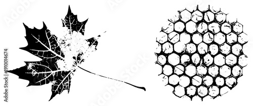 Black and white vector art featuring a maple leaf with vein and a circular honeycomb texture, both with distressed ink effects, ideal for nature or design motifs.
