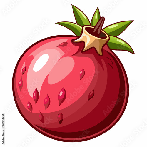 colorful illustration of a Organic Pomegranate Healthy Fruit Concept