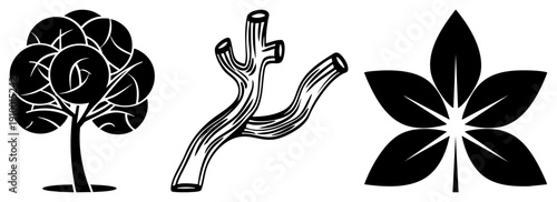 Stylized tree with circular canopy, gnarled branch with hollow ends, five petaled flower with radiating, minimalist black vector art, nature motifs, graphic design elements.