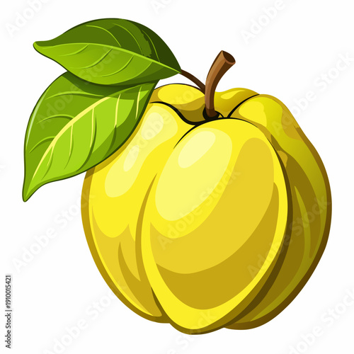 colorful illustration of a Organic Quince Fruit Healthy Food Concept
