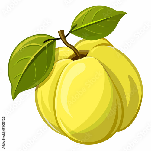 colorful illustration of a Ripe Quince with Green Leaves Close Up