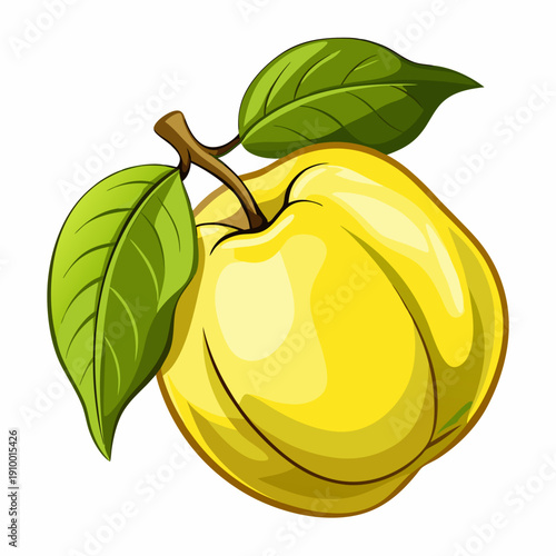 colorful illustration of a Fresh Quince Fruit Isolated on White Background