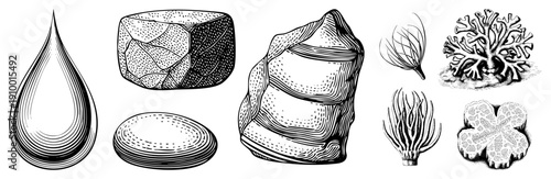 Vector sketch of natural forms water droplet, stones,, sea, sponge. Detailed art, halftone shading, scientific illustration style.
