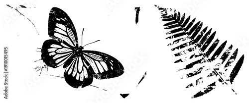 Artistic butterfly with wings and fern frond, vector design, nature illustration, graphic silhouette, vintage texture, botanical motif.