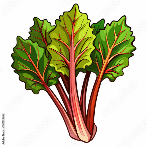 colorful illustration of a Fresh Rhubarb Stalks Isolated on White Background
