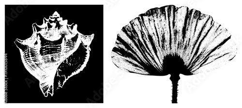 Detailed illustrations rendered in halftone dot, marine biology motifs, vector graphics, isolated designs, stylized oceanic forms.