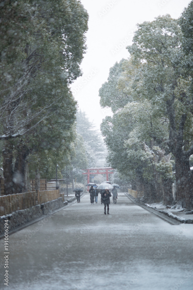 Obraz premium 鎌倉2628 鶴岡八幡宮6 雪