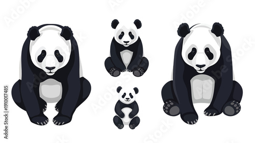 Cute cartoon panda family illustration. Adorable adult and baby pandas sitting. Black and white bears on white background.