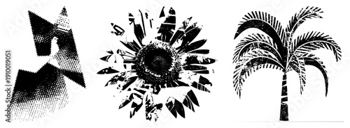 Black and white halftone vector illustrations of sunflower, star, and palm tree with distressed texture, graphic design elements, isolated foreground, stylized nature motifs.