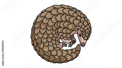 Pangolin curled up in a defensive ball, isolated cartoon illustration of an endangered scaly mammal.