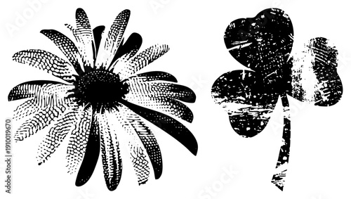 Stylized daisy and four leaf clover rendered in halftone dot, vintage graphic design, black and white vector art, symbolic botanical motifs.