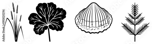 Botanical vector featuring grass stalks, lobed leaf, scalloped, and feathered fern, rendered in clean black, ideal for eco design or nature themed UI.