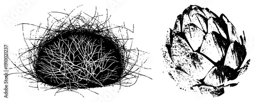 Artichoke vegetable with layered petals, egg with scribbled texture, vector sketch, halftone style, food illustration, black and white, artistic rendering.