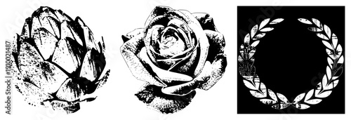 Black and white halftone artichoke, rose, and laurel wreath vector graphics. Botanical illustrations with stippled texture. Classic emblem and motifs.