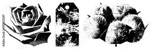 Black and white halftone illustrations of rose, price tag, cotton bolls, graphic design, vector art, stylized textures, vintage print, screen printing effect.