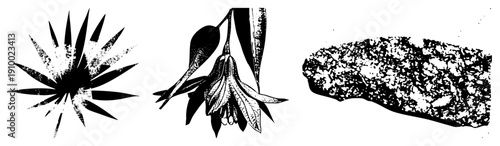 Graphic design elements featuring a starburst, fuchsia flower, and textured rock, all in vector style, ideal for UI, print, or digital art projects.