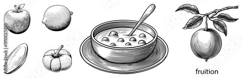 Classic halftone fruit sketches (, lemon,, plum) soup bowl with spoon, detailed art & hatching. Synonyms fruit plate, culinary illustration, vintage food graphic.