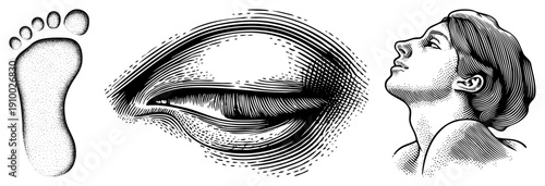 Classic halftone art depicting human foot, detailed eye, and woman’s upward gaze, rendered in black and white with stippling and hatching techniques.