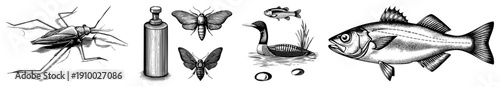 Classic engraved style vector art featuring water strider, moths, loon, fish, and eggs nature illustration, wildlife sketch, black and white graphic, scientific drawing, natural history.