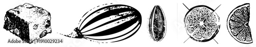 Black and white vector drawings of rock, striped watermelon, seed, and citrus slices, halftone texture, isolated food elements, botanical sketches.