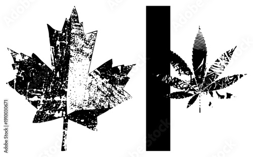 Distressed black and white maple leaf and leaf vector graphics, halftone texture, stencil art style, isolated foreground elements, symbolic design, political or cultural.