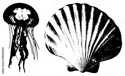 Marine life clipart featuring jellyfish and scallop, oceanic symbols, sea creature graphics, halftone texture, design.