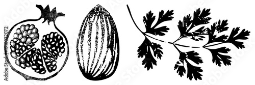 Vintage botanical sketch of pomegranate seeds, striped melon, and parsley sprigs, rendered in black ink with stippling texture, ideal for culinary or herbal design.