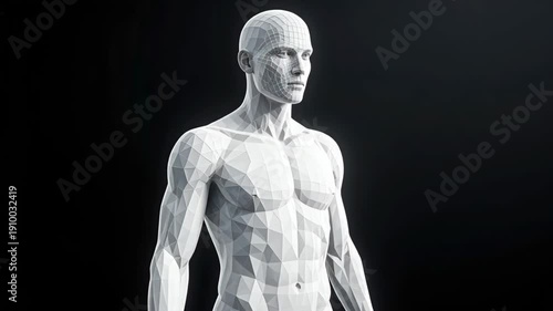 Wallpaper Mural 3D Human Body Model Transitioning from Wireframe to Solid Low-Poly Torontodigital.ca