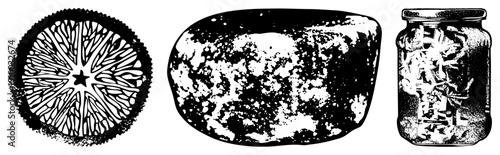 Sliced citrus with star core, textured stone slab, glass jar with dried herbs, black and white vector art, botanical illustration, rustic texture, preserved ingredients.