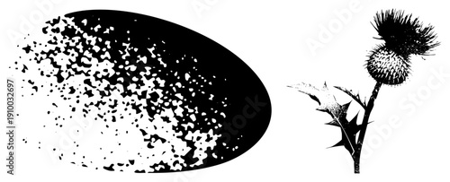 Spiky thistle flower with textured stem, halftone oval backdrop, botanical illustration, vector art, nature design, graphic element.