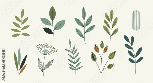 Botanical Illustration: Green Leaves and Plants Collection