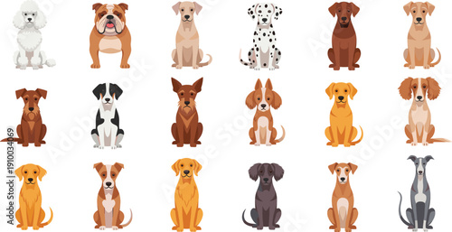 Dog Breeds Sitting Vector Set with Purebred Domestic Canine Pets in Front View Cartoon Style Isolated on White Background