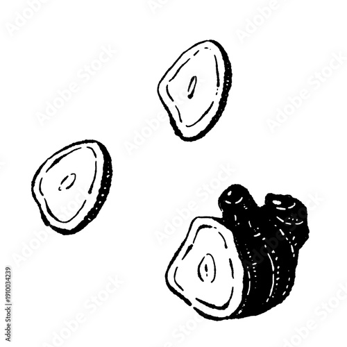 Sliced Ginger and Whole Root Monochrome Sketch