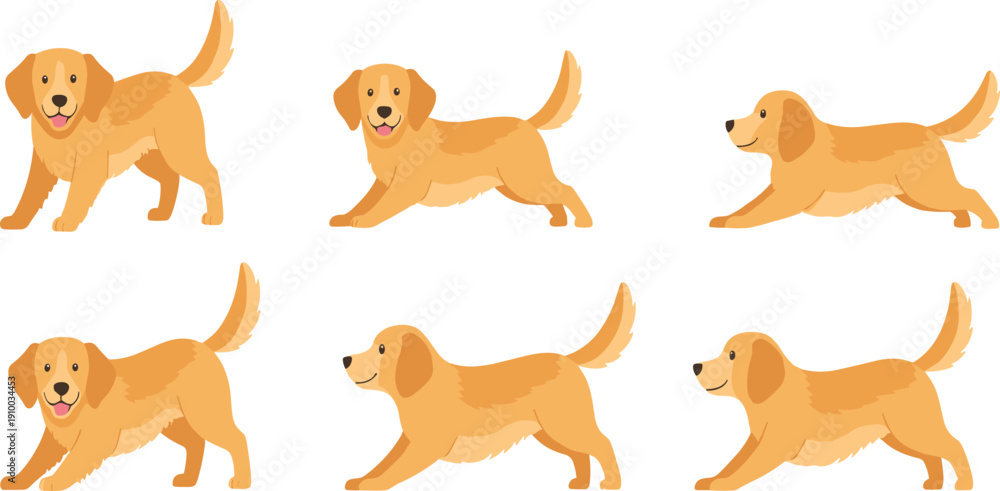 Obraz premium Golden Retriever Puppy Playing and Running Vector Set with Cute Cartoon Dog in Different Side View Action Poses Isolated on White Background