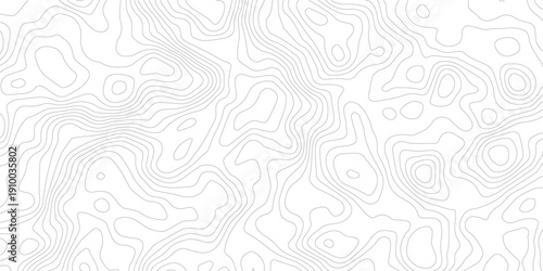 Topography background. Vector banner. Topography map background. Vector geographic contour map. Background of the topographic map. Topographic map lines, contour background.