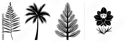 Black vector of fern, palm tree, pine tree, and orchid flower, minimalist botanical illustrations, nature motifs, graphic design elements.