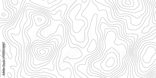 Topography background. Vector banner. Topography map background. Vector geographic contour map. Background of the topographic map. Topographic map lines, contour background.