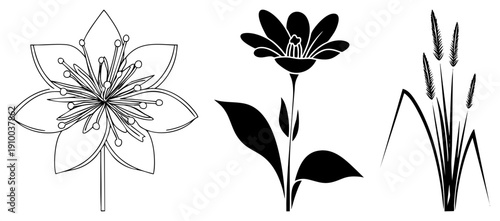 vector designs including detailed flower, solid black bloom, and grass stalks, ideal for graphic design, print, or web use. Botanical art, nature motifs, minimalist flora.