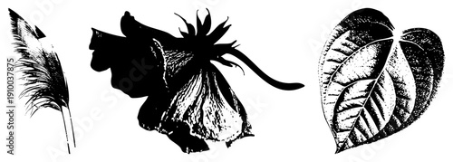 Feather silhouette, cat profile, leaf, all in halftone style, vector graphic, isolated elements, nature motifs, artistic design.