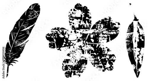 Graphic vector featuring feather and flower motifs, distressed black and white design, artistic stencil effect, isolated elements for branding or tattoo art.