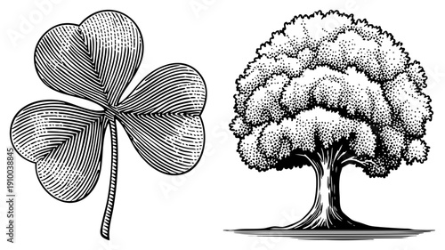 Stylized clover with heart shaped leaves and dotted tree canopy, vintage engraving style, botanical illustration, lucky charm symbol, nature graphic.